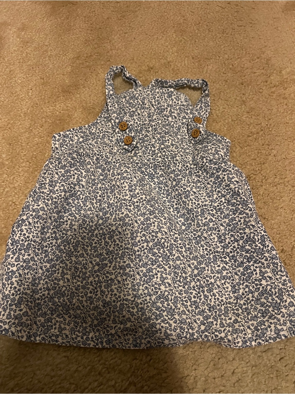 H&M 12 month Blue Floral Sleeveless Baby/Toddler Dress